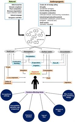 Microbial Degradation of Naphthalene and Substituted Naphthalenes: Metabolic Diversity and Genomic Insight for Bioremediation